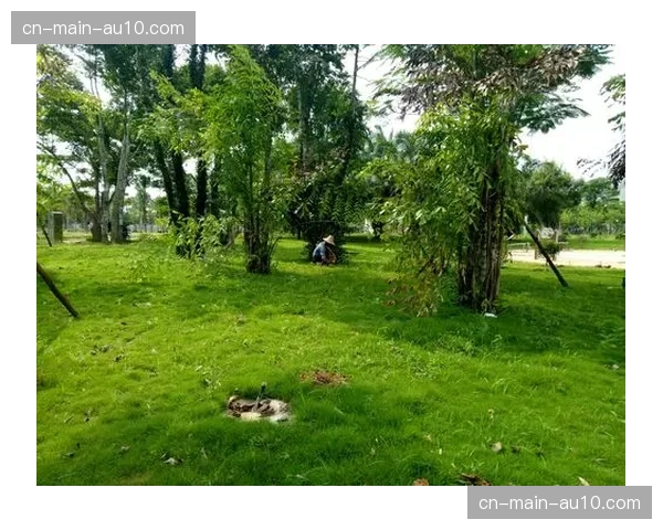 定安沿江公园灯光球场修缮升级后首次举办大型赛事，静候各路英豪